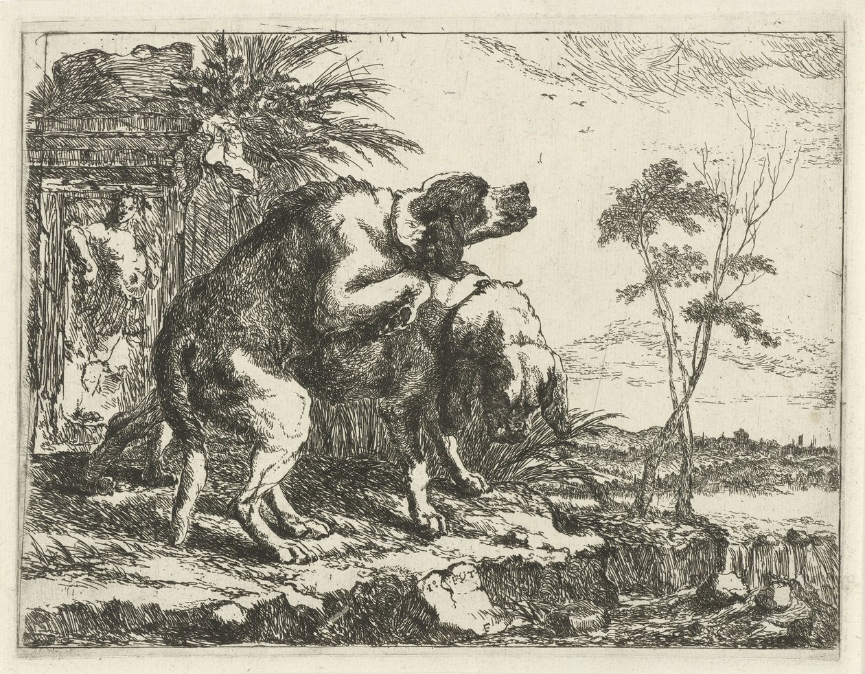 To parrende hunder Hunder (serietittel) av Joannes Fijt