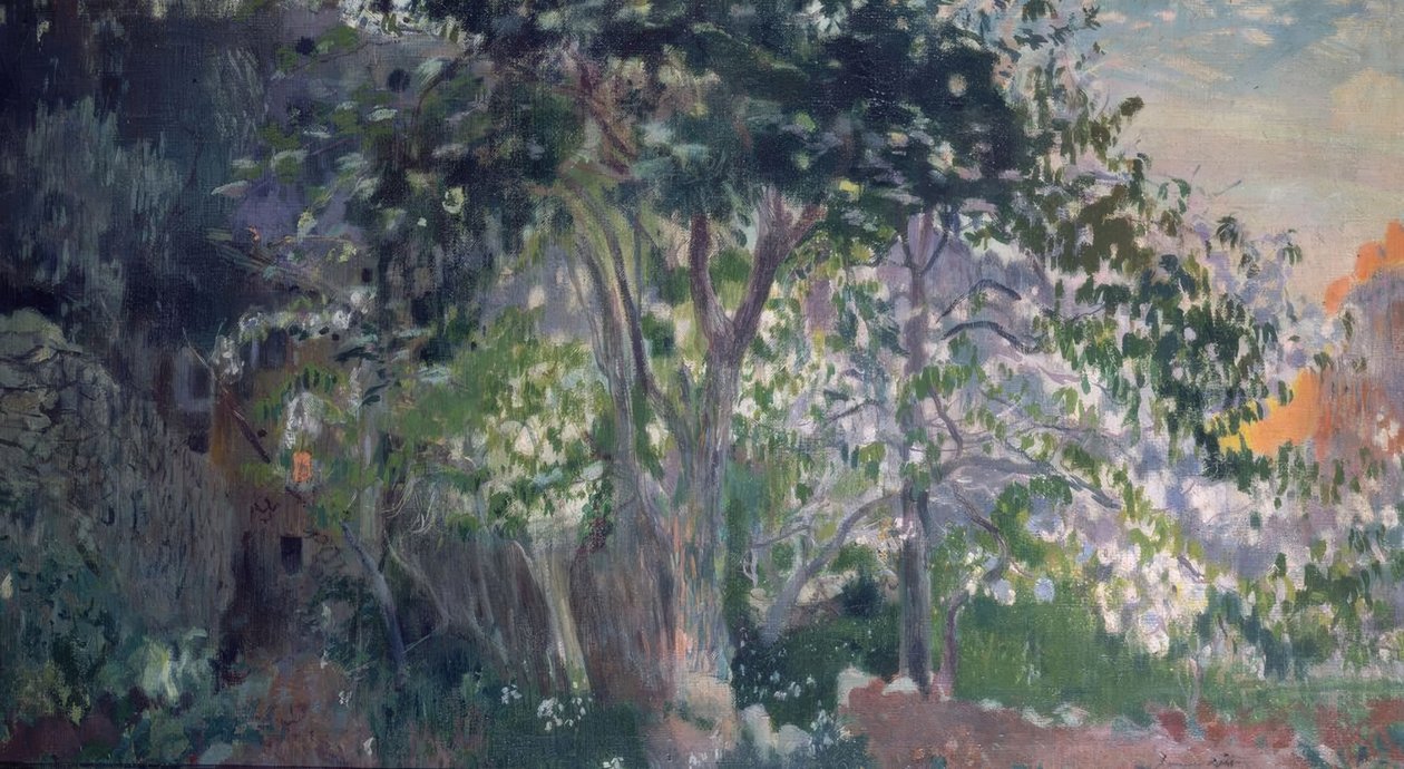 Det grå treet, Sa Calobra, Mallorca av Joaquim Mir i Trinxet