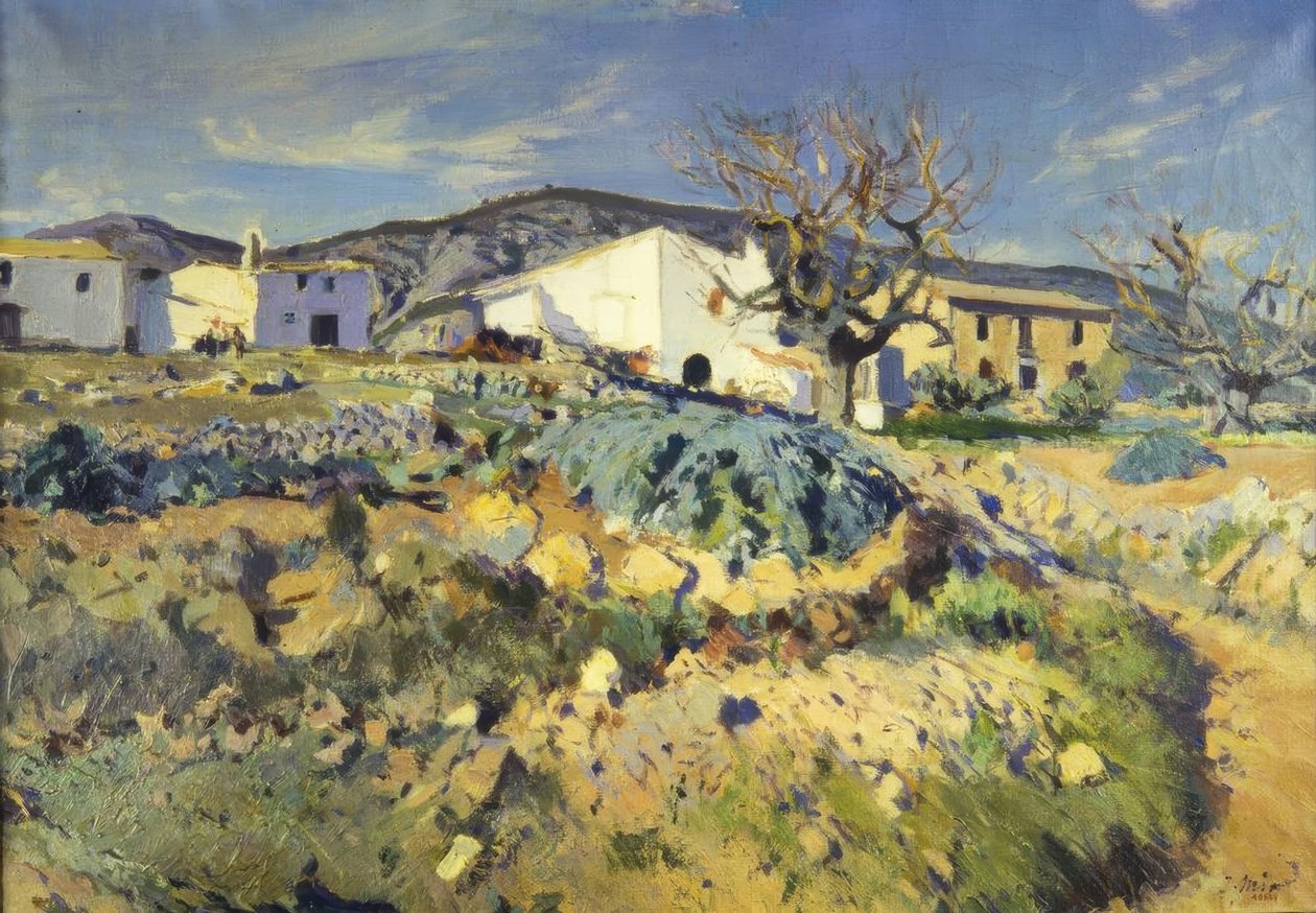 Maliza de Magí av Joaquim Mir i Trinxet