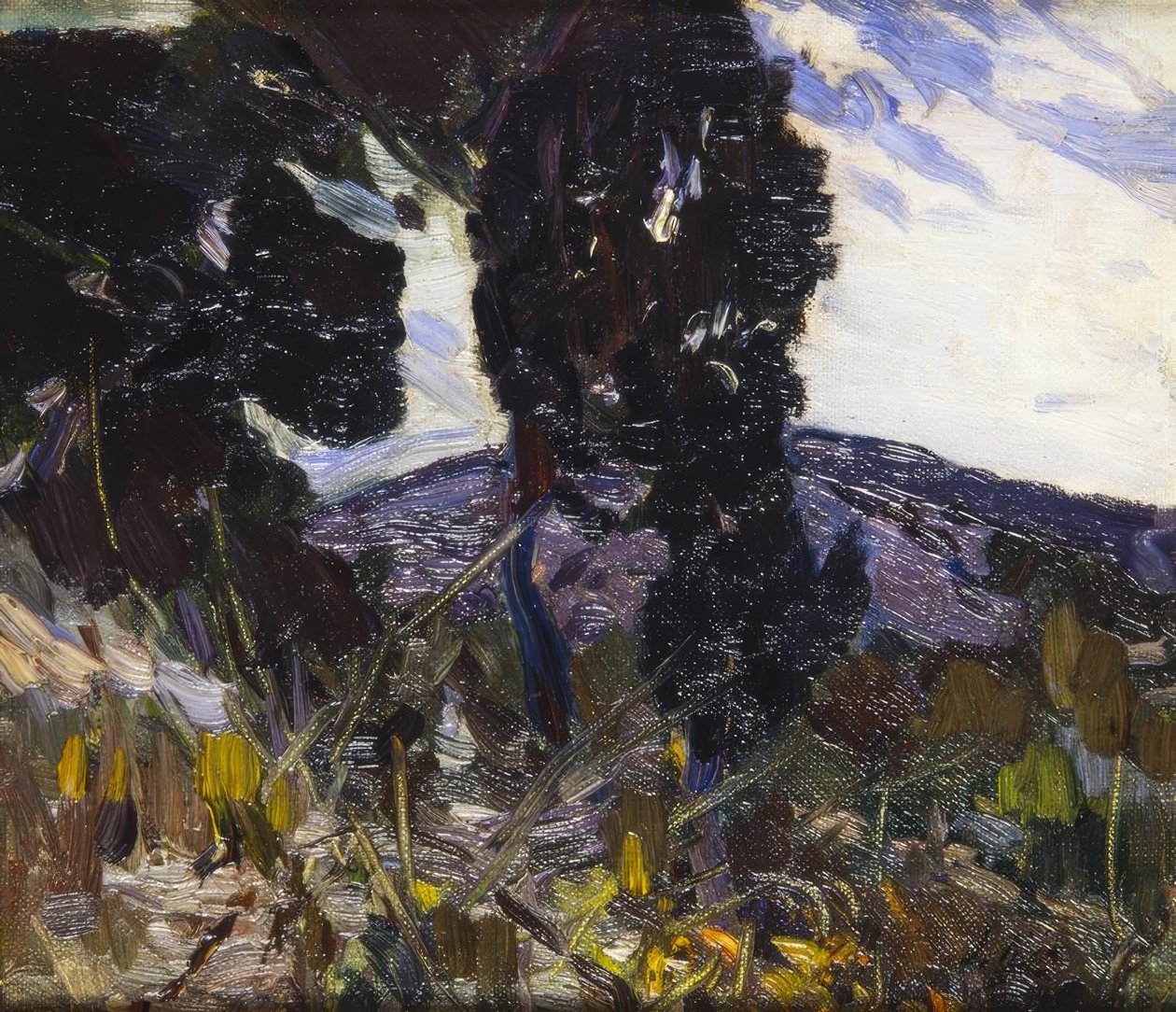 landskap av Joaquim Mir i Trinxet