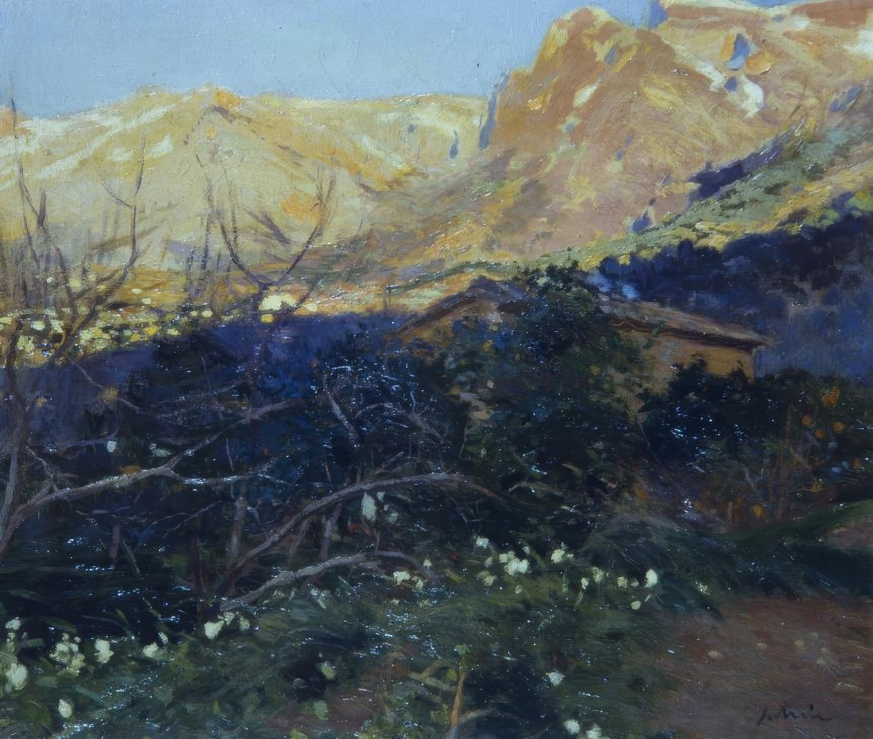 Mallorca av Joaquim Mir i Trinxet