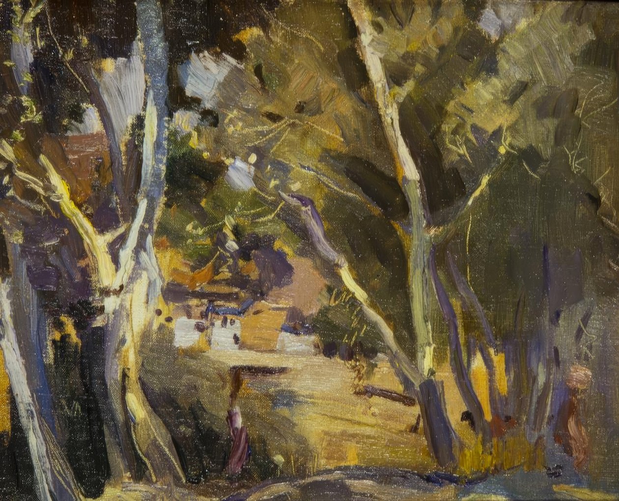 Miravet av Joaquim Mir i Trinxet