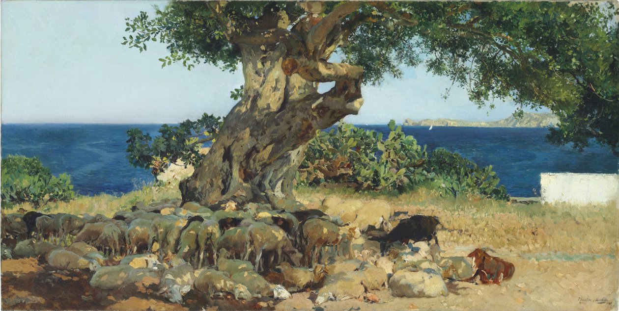 Carob treet av Joaquín Sorolla