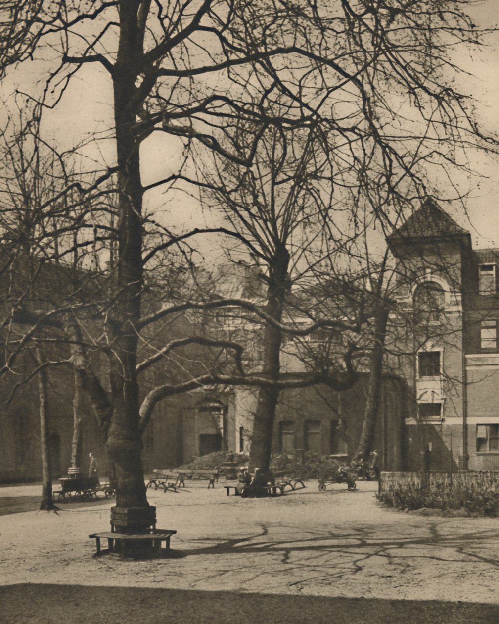 Under the Elms in the Courtyard of Middlesex Hospital, c1935. av Joel
