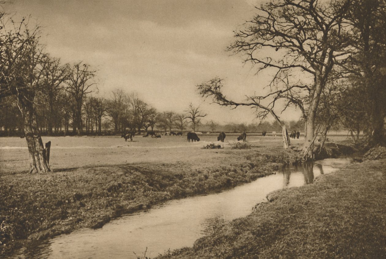 Hvor Beverley Brook slynger seg gjennom Royal Hunting Park of Richmond, c1935. av Joel