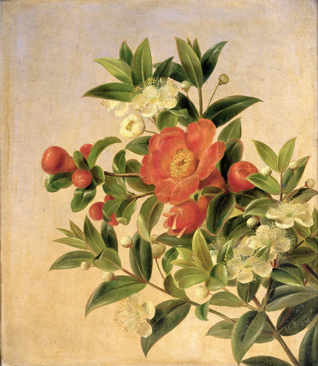 Blomster, 1835 av Johan Laurents Jensen