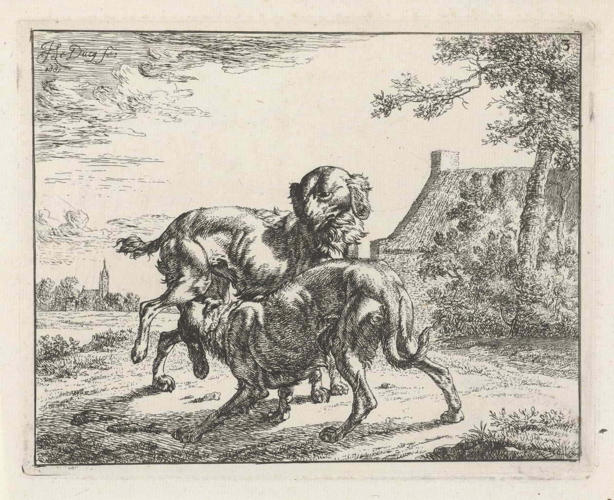 Hund og tispe av Johan le Ducq