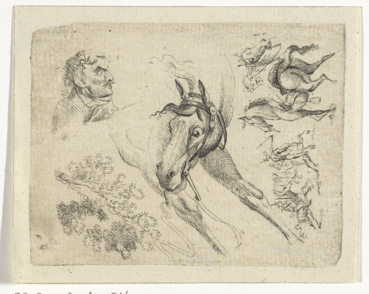 Studieark med hester, en mann og en gren av Johan Bernard Scheffer