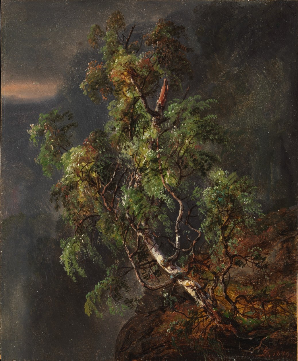  av Johan Christian Dahl