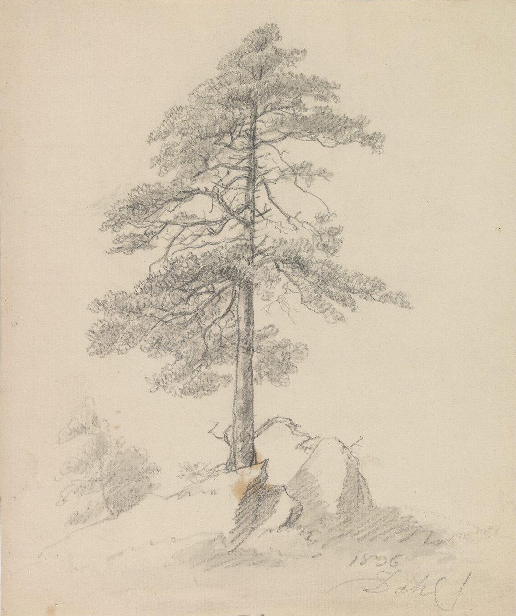 Furuer og klipper av Johan Christian Dahl