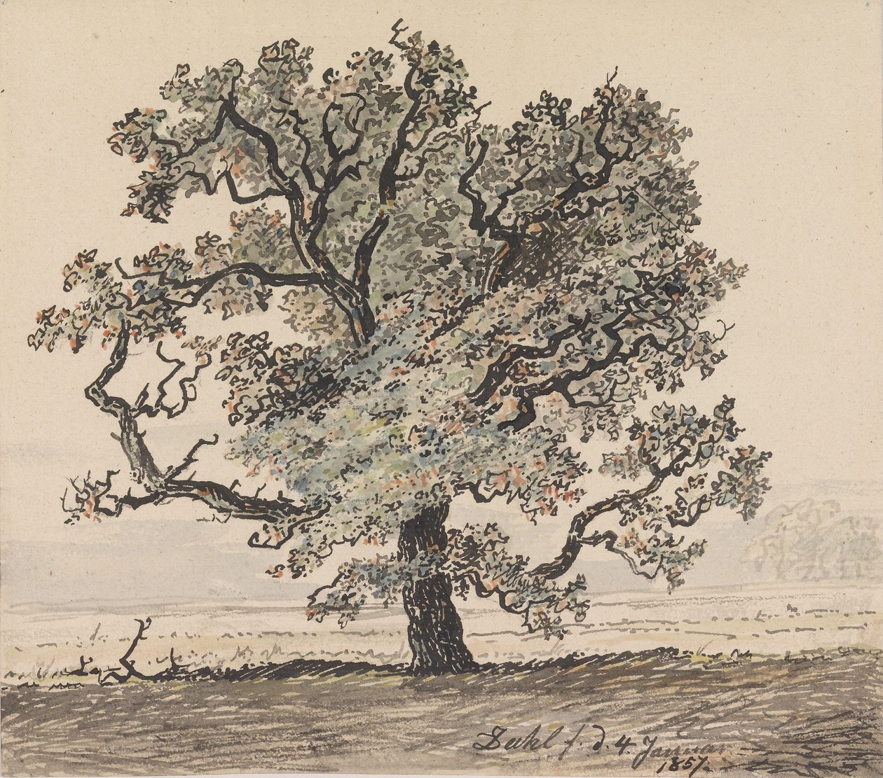 Furutre på en slette av Johan Christian Dahl
