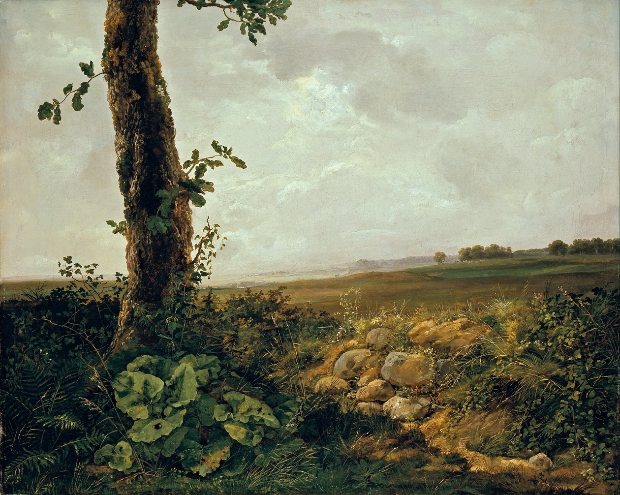  av Johan Christian Dahl