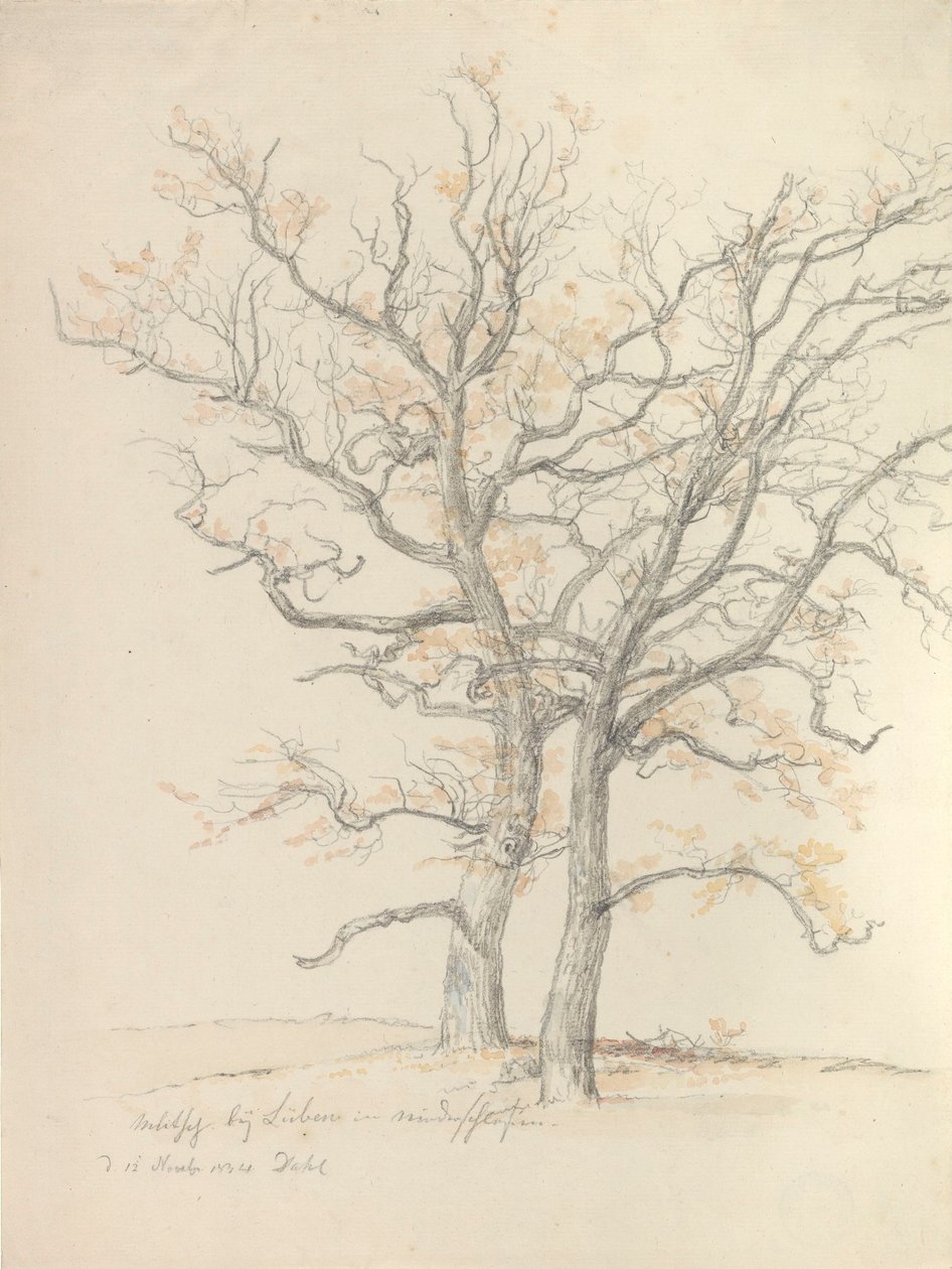 To eiketrær av Johan Christian Dahl