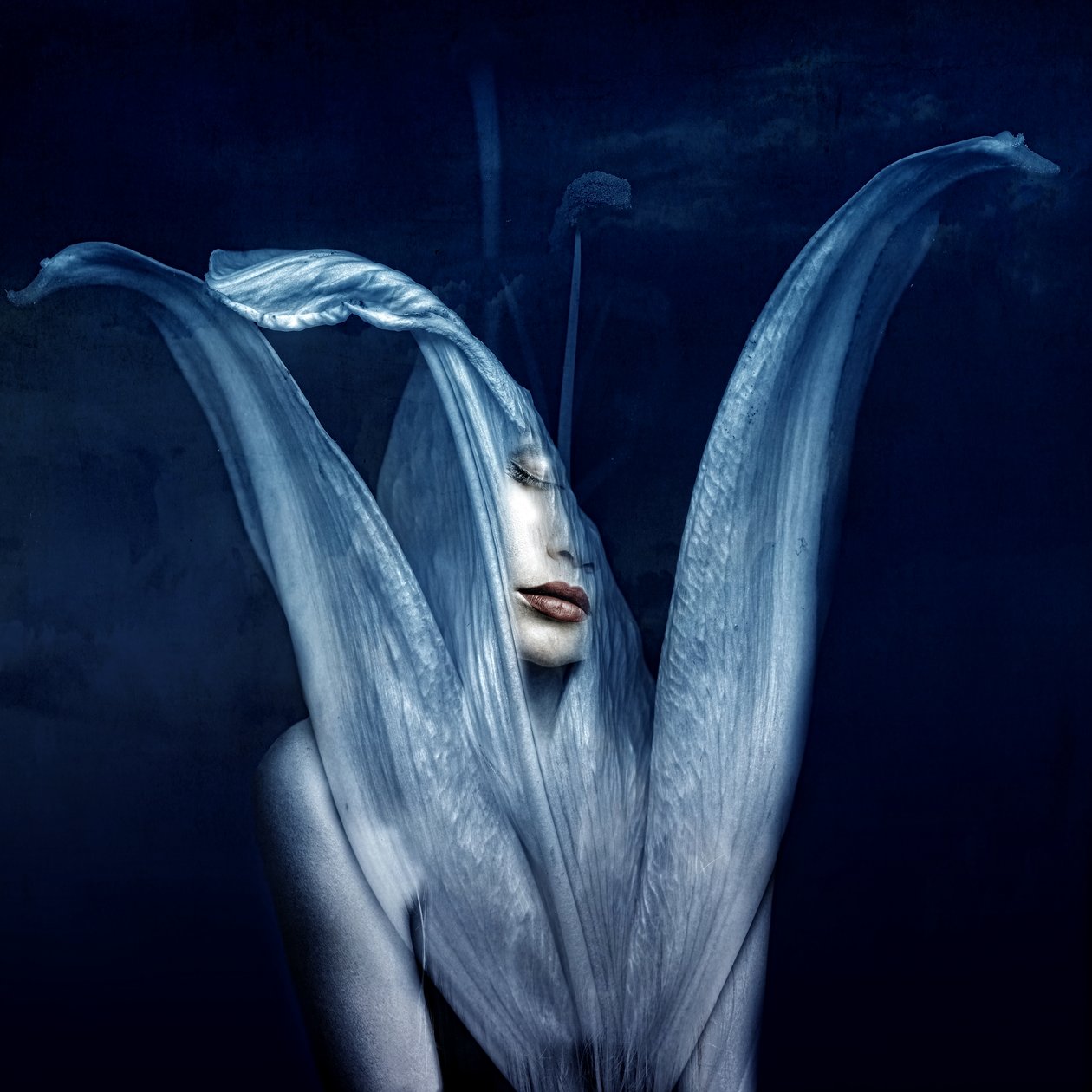 Beautiful monsters 3, 2018 (digital fotokunst) av Johan Lilja