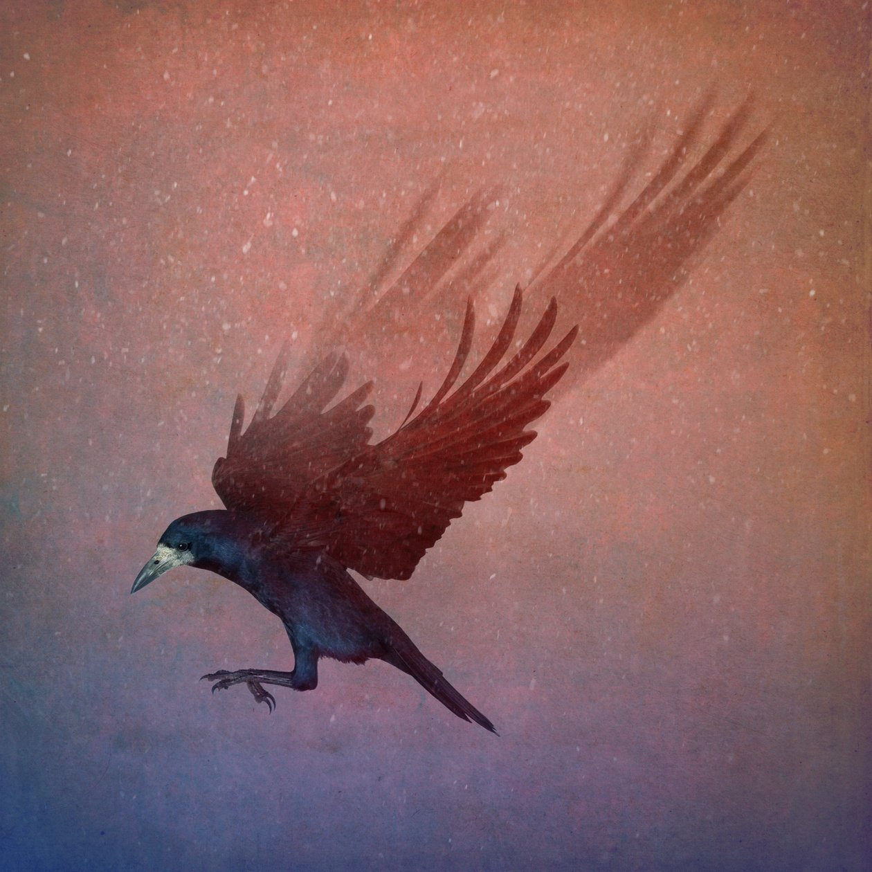 Bird Kingdom, 2018 (fotokunst) av Johan Lilja