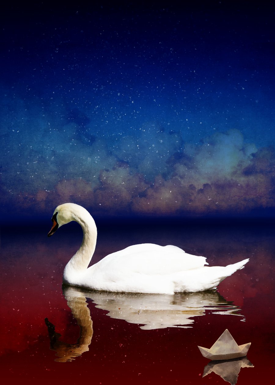 Bird Kingdom 4, 2018 (digital fotokunst) av Johan Lilja