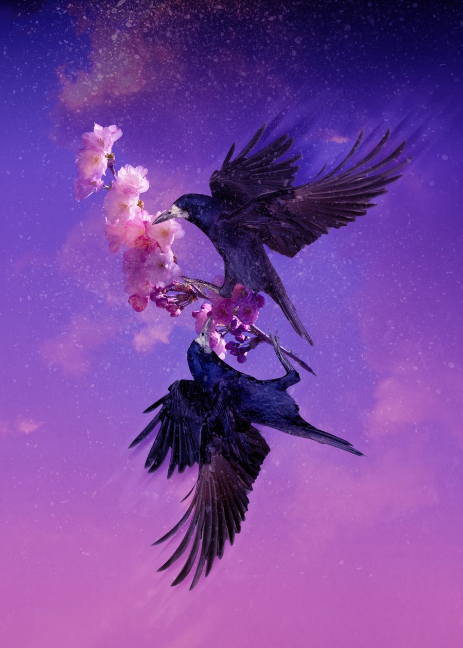 Bird Kingdom 5, 2018 (digital fotokunst) av Johan Lilja