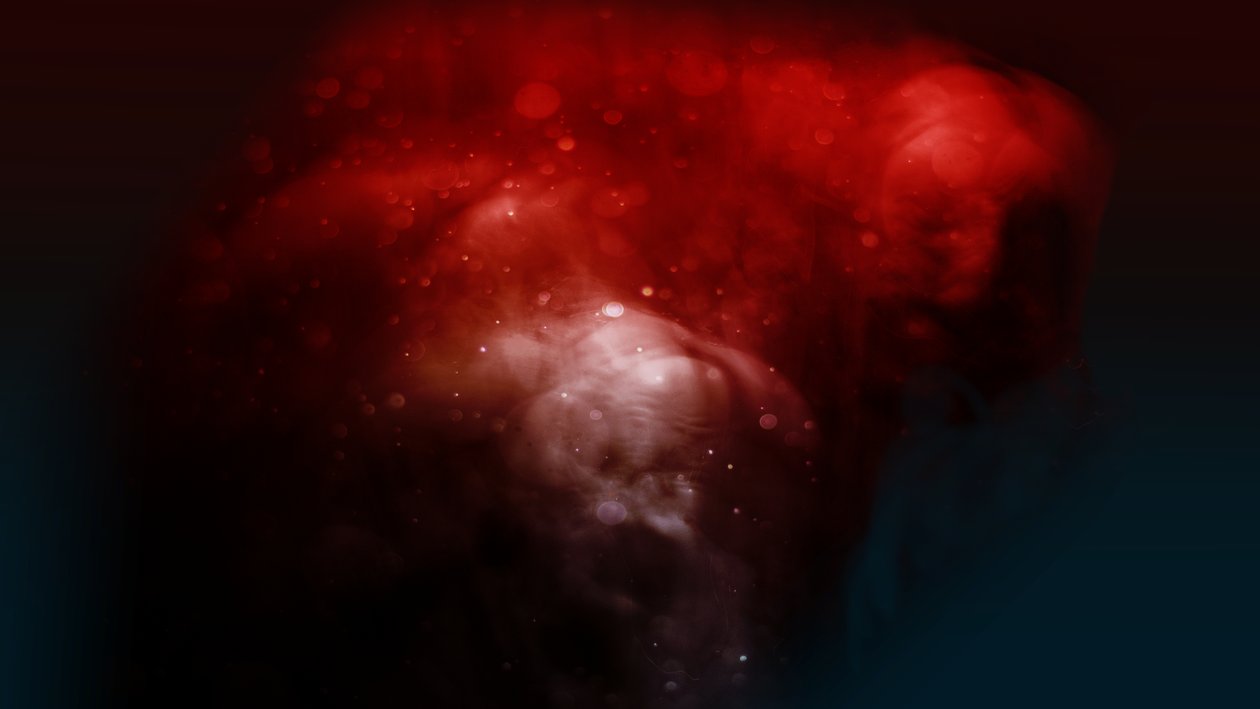 Bloodline The ugly, 2019 (fotografi) av Johan Lilja