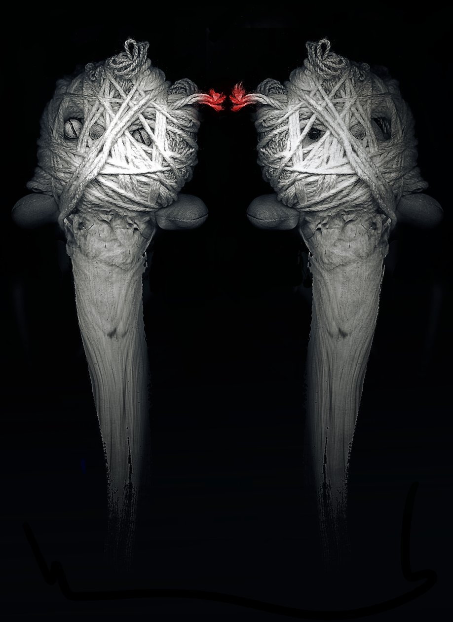 Brothers, 2013 (fotografi) av Johan Lilja