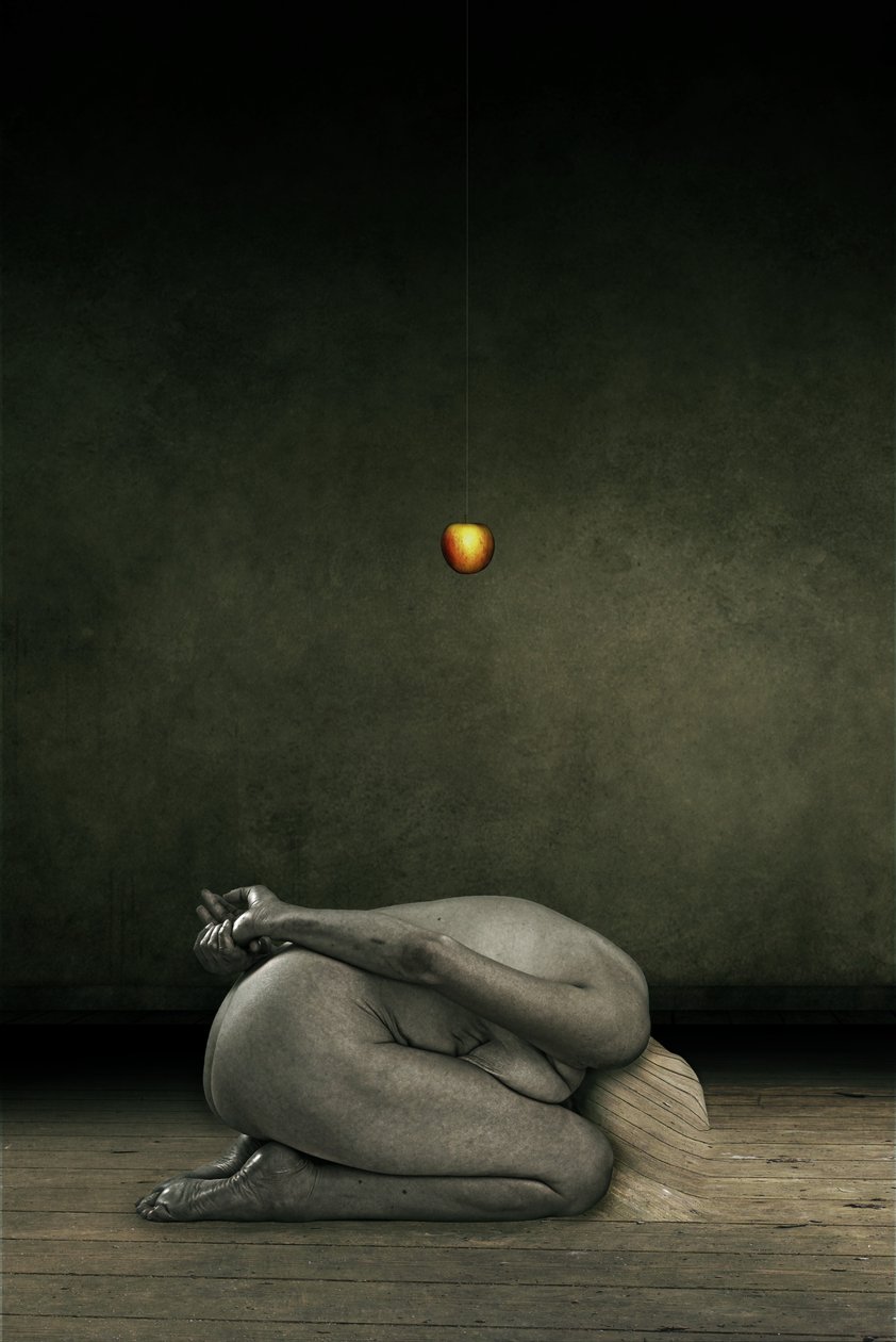 Skjul meg selv, 2013 (bildemanipulering) av Johan Lilja