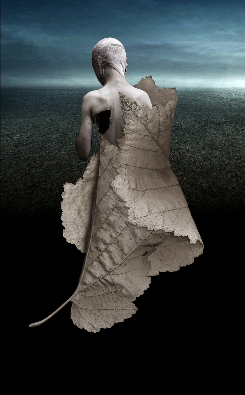Hurt, 2015 (fotografi) av Johan Lilja