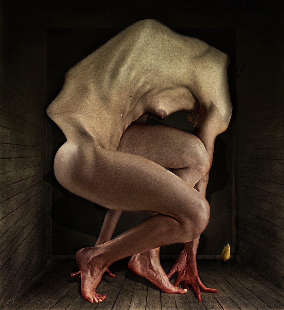 Skam, 2012 (fotografi) av Johan Lilja