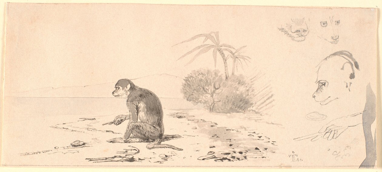 Apekatten. T.h. studier av apehoder etc. av Johan Thomas Lundbye