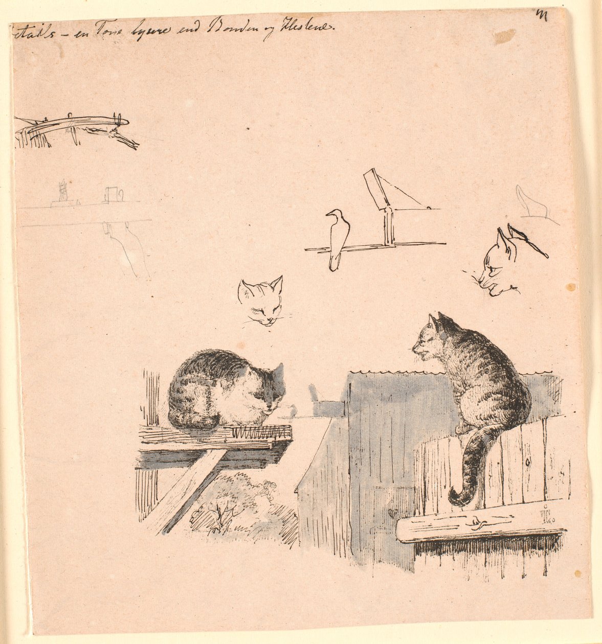 De to kattene. F.o. studier av kattehoder, en fugl, et katteøre og bjelkearbeid. Illustrasjon til Kaalunds "Fabler for barn". Se kommentar fra arkkatalog. av Johan Thomas Lundbye