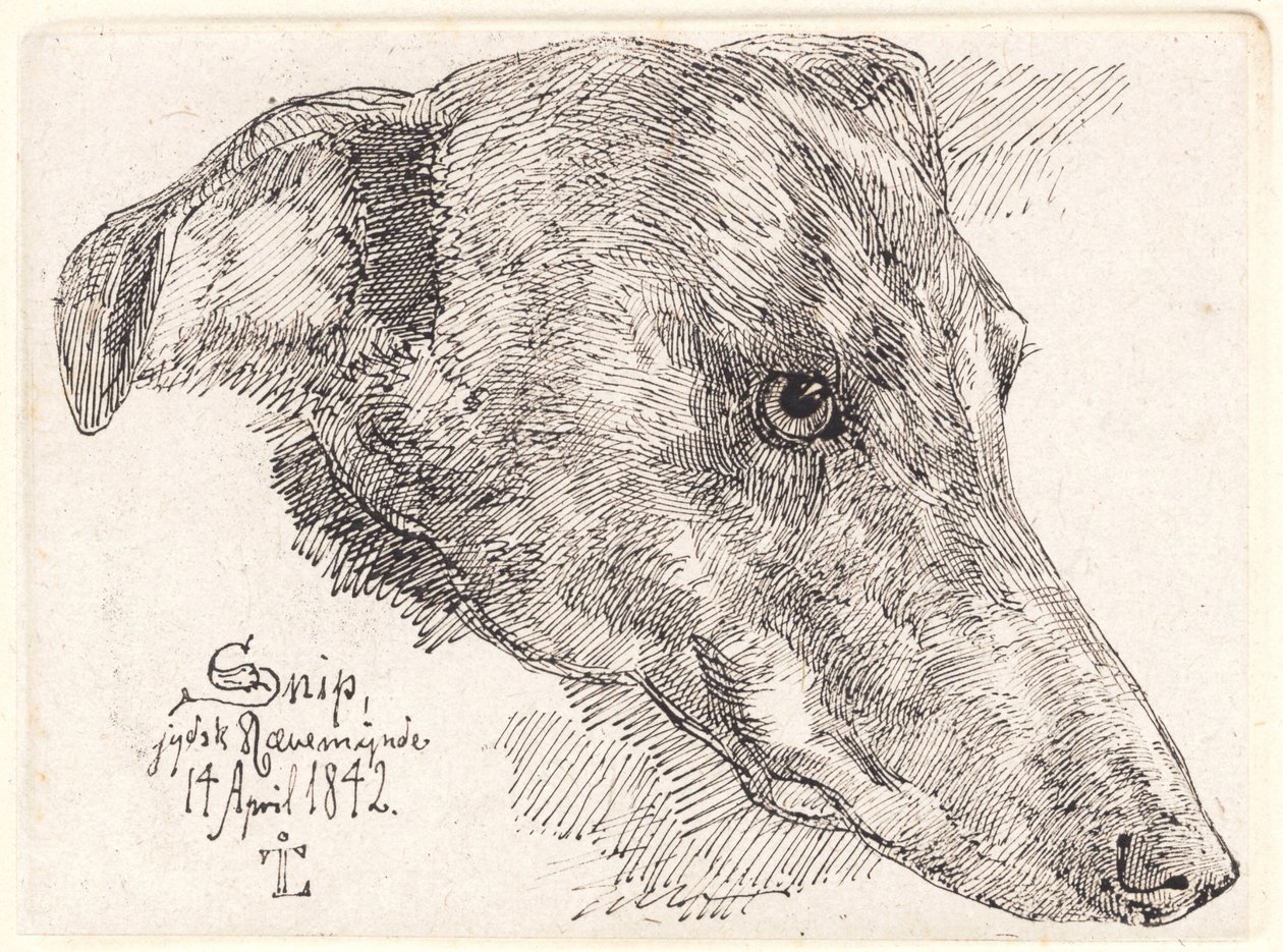 Hundehoved, Snip av Johan Thomas Lundbye