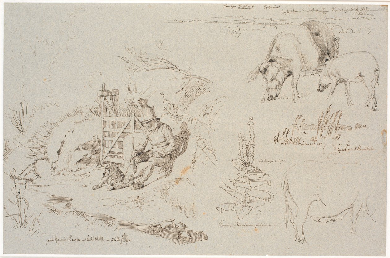 Studieblad fra Vognserup. T. v. en gjeter (gamle Rasmus Larsen) som sitter med en hund ved et ledd. F.o.t.h. en landskapsstudie med stedsnavn. Inkludert to griser. T.h.m.f. studie av siv i en innsjø. Inkludert en kongelig lysplante og studie av en purke av Johan Thomas Lundbye