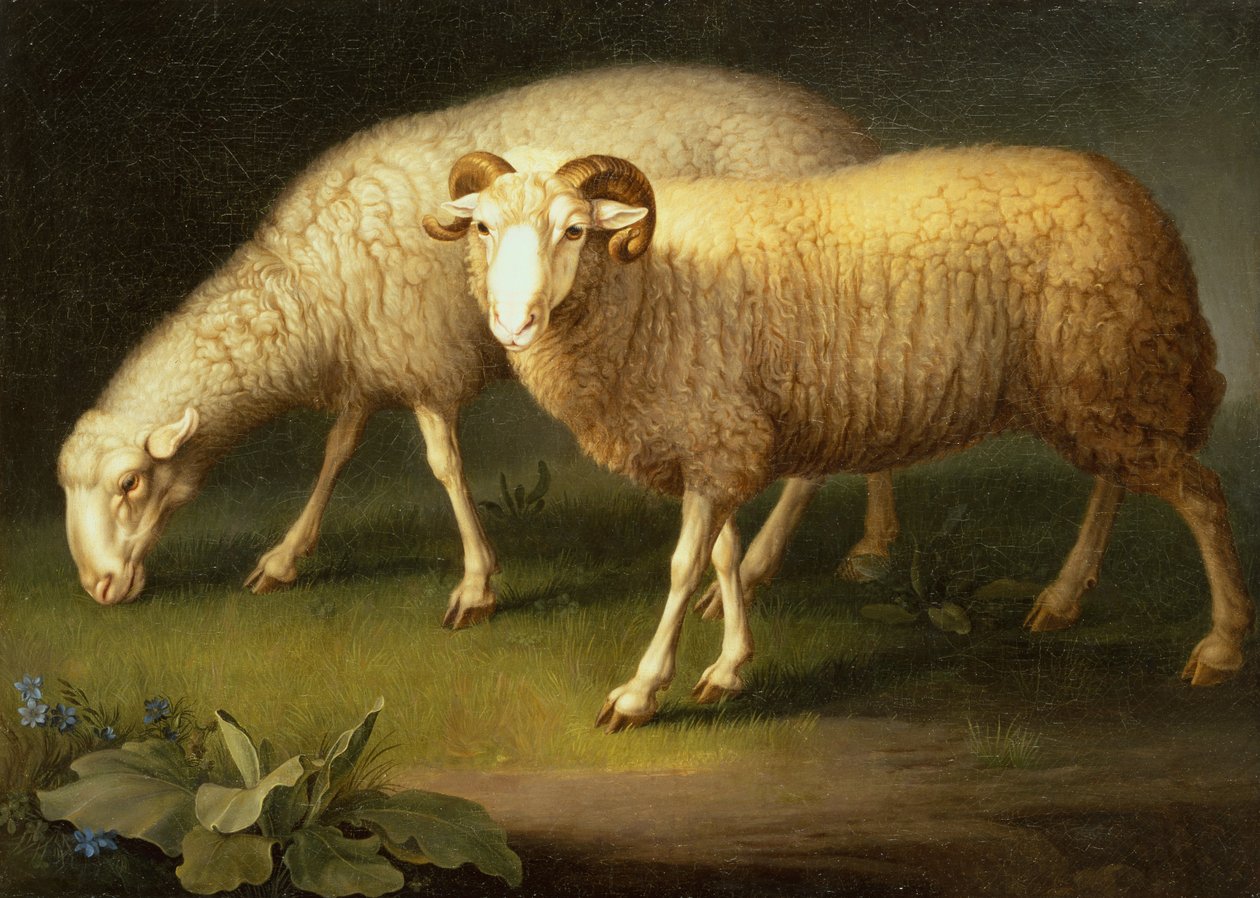 En ram og sau (olje på lerret) av Johan Wenzel Peter