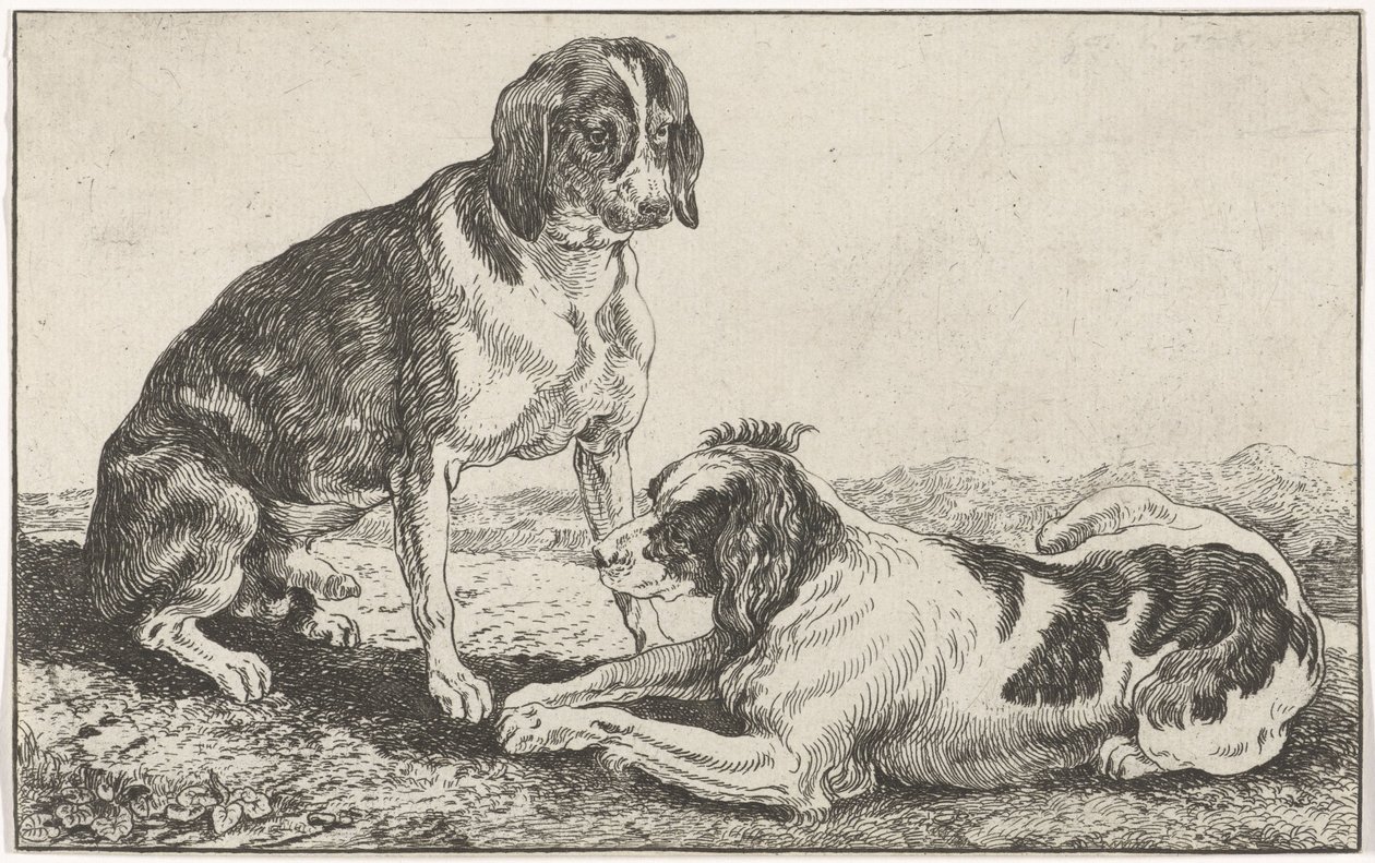 To hunder av Johan le Ducq