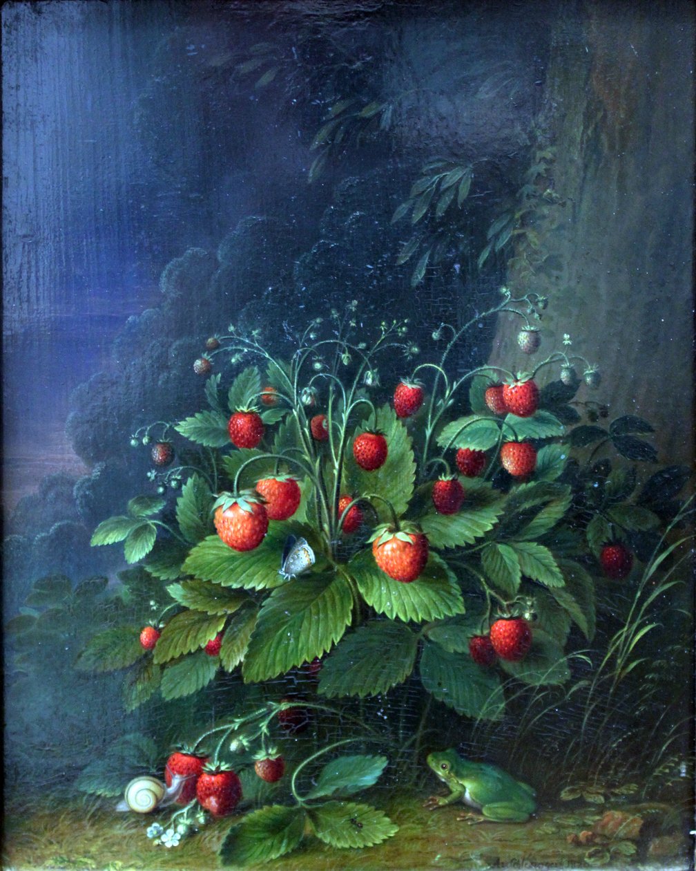 Jordbær av Johann Adam Schlesinger