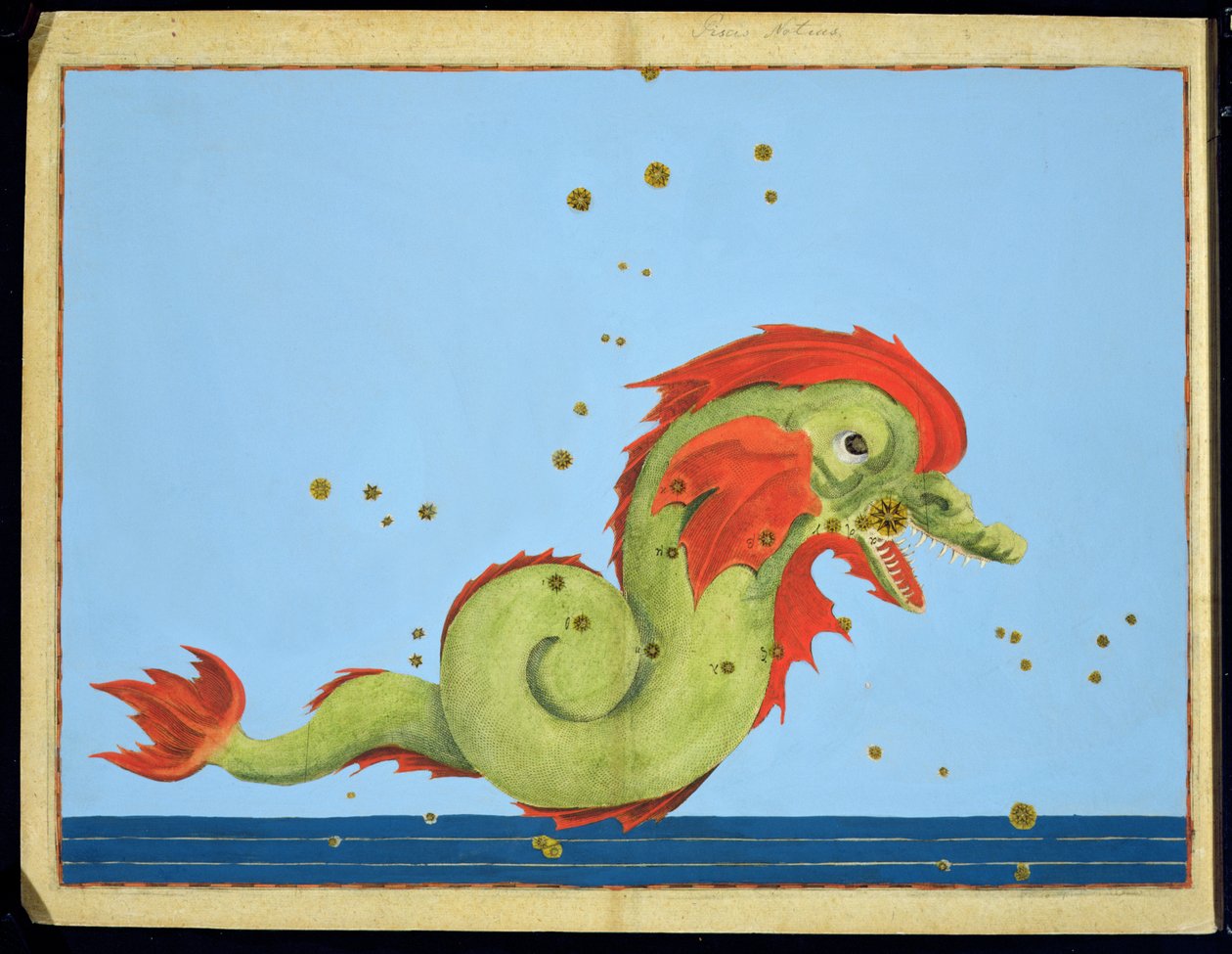 Constellation of Pisces, fra 'Uranometria' av Johann Bayer, gravert av Alexander Mair (1559-c.1616) 1603 (håndfarget kobberstikk) av Johann Bayer