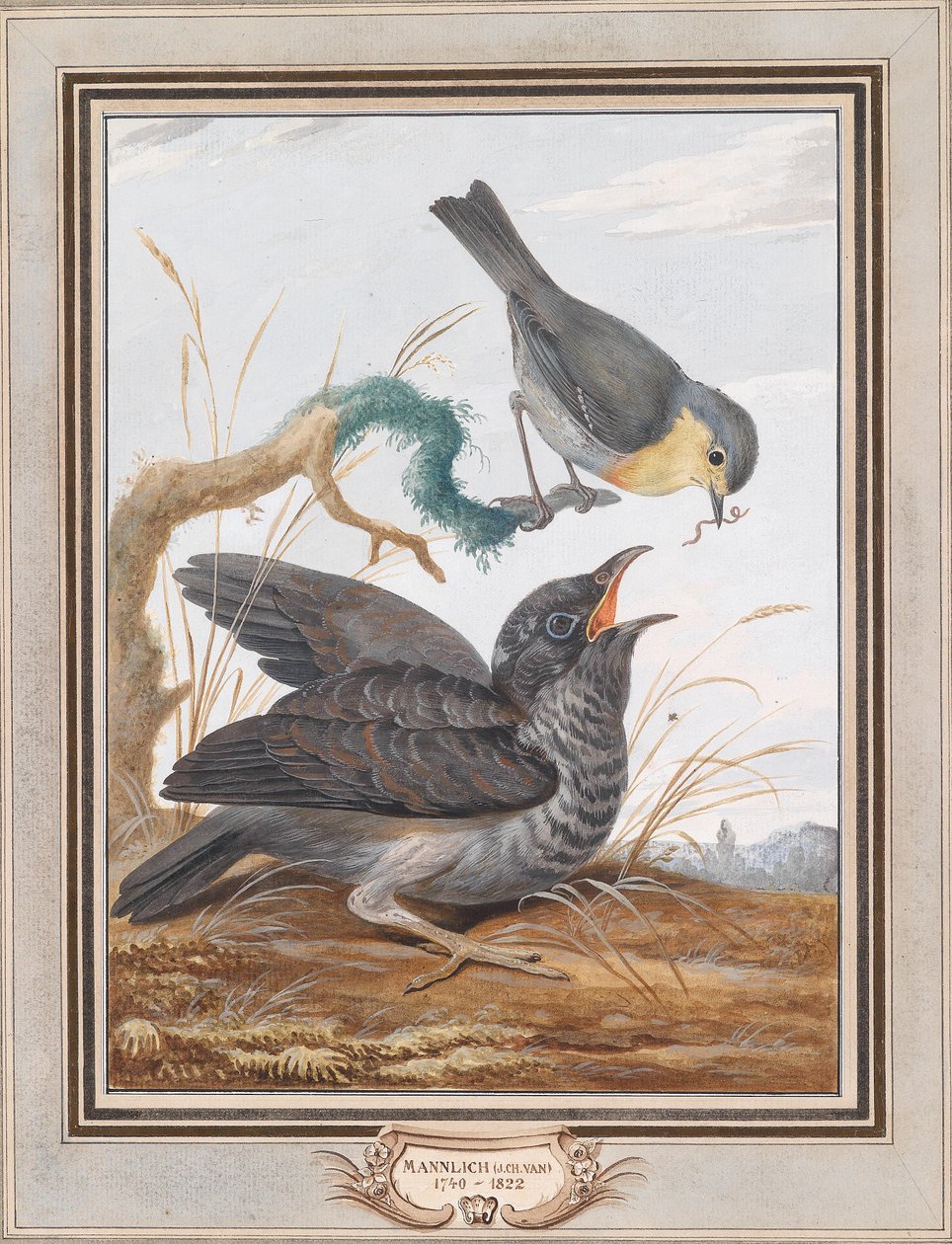 En robin mater en gjøk av Johann Christian von Mannlich