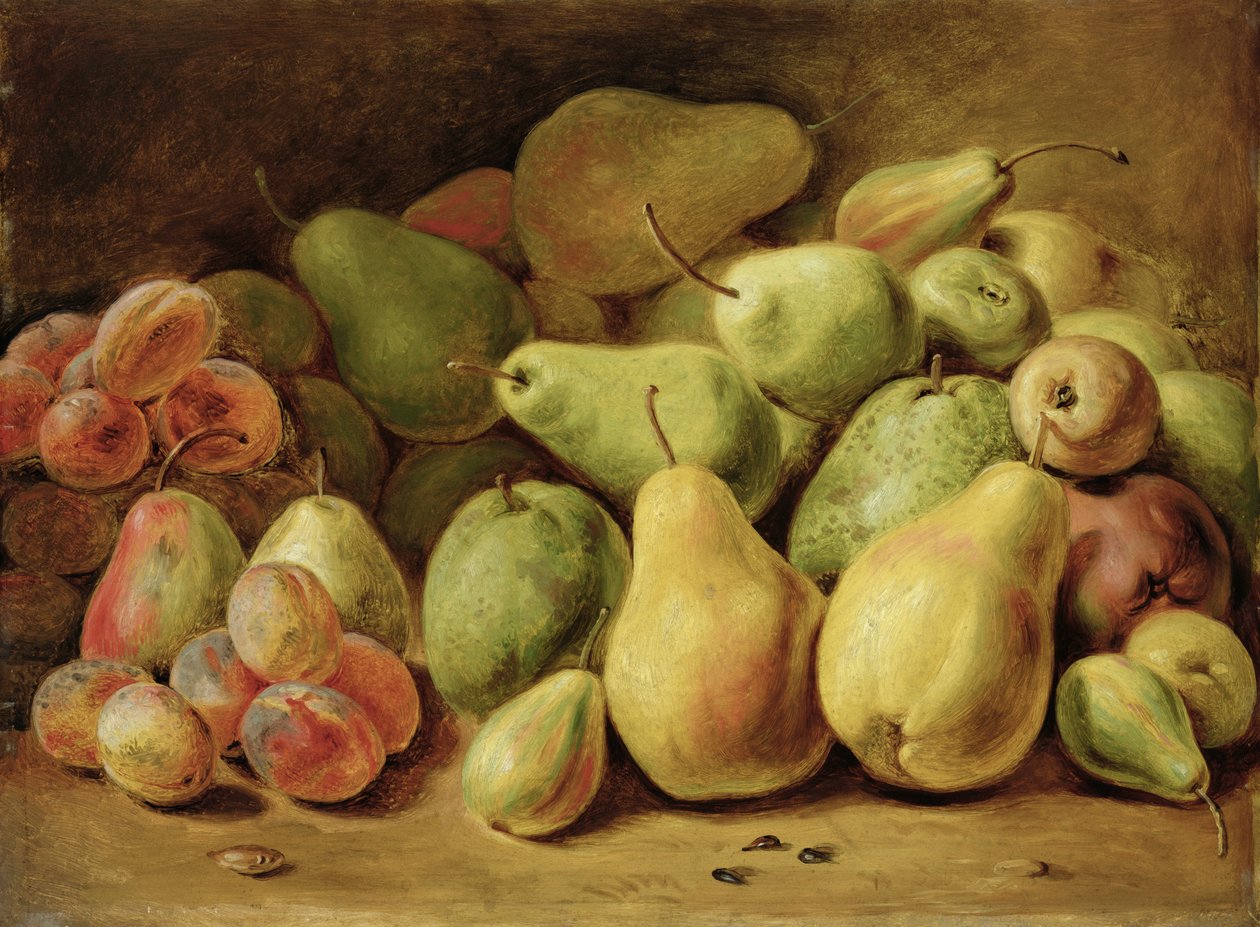 Frukt stilleben av Johann Friedrich August Tischbein