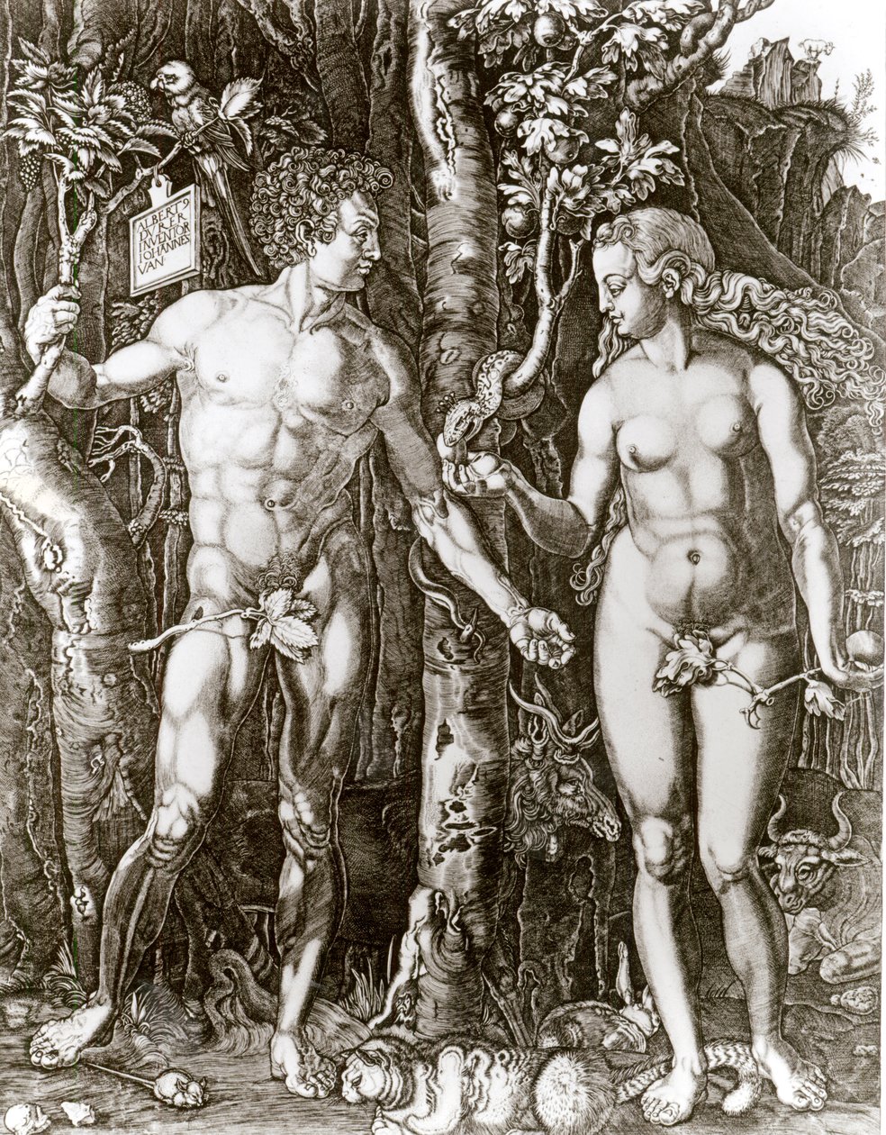 Adam og Eva, etter Albrecht Durer (1471-1528) av Johann Ladenspelder