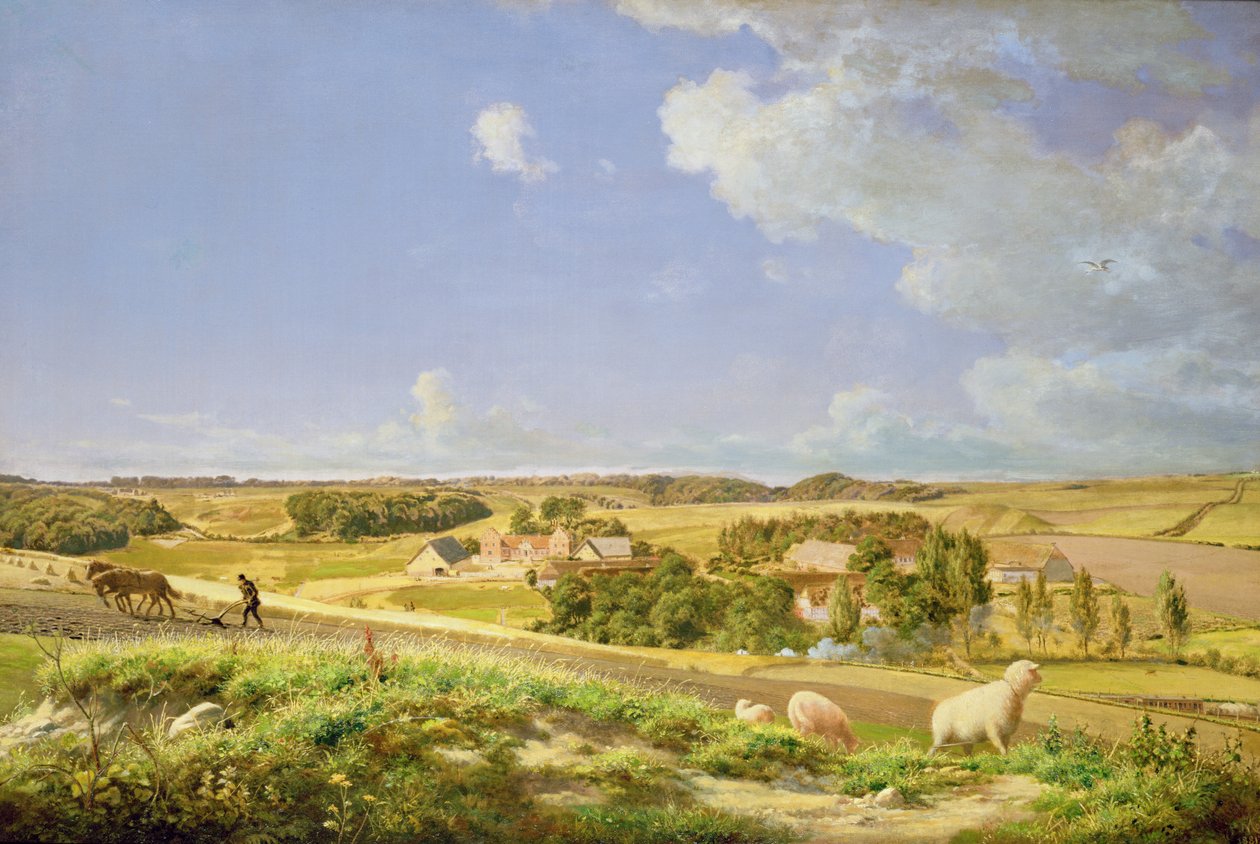 Skogkledd landskap av Johan Frederick Moller