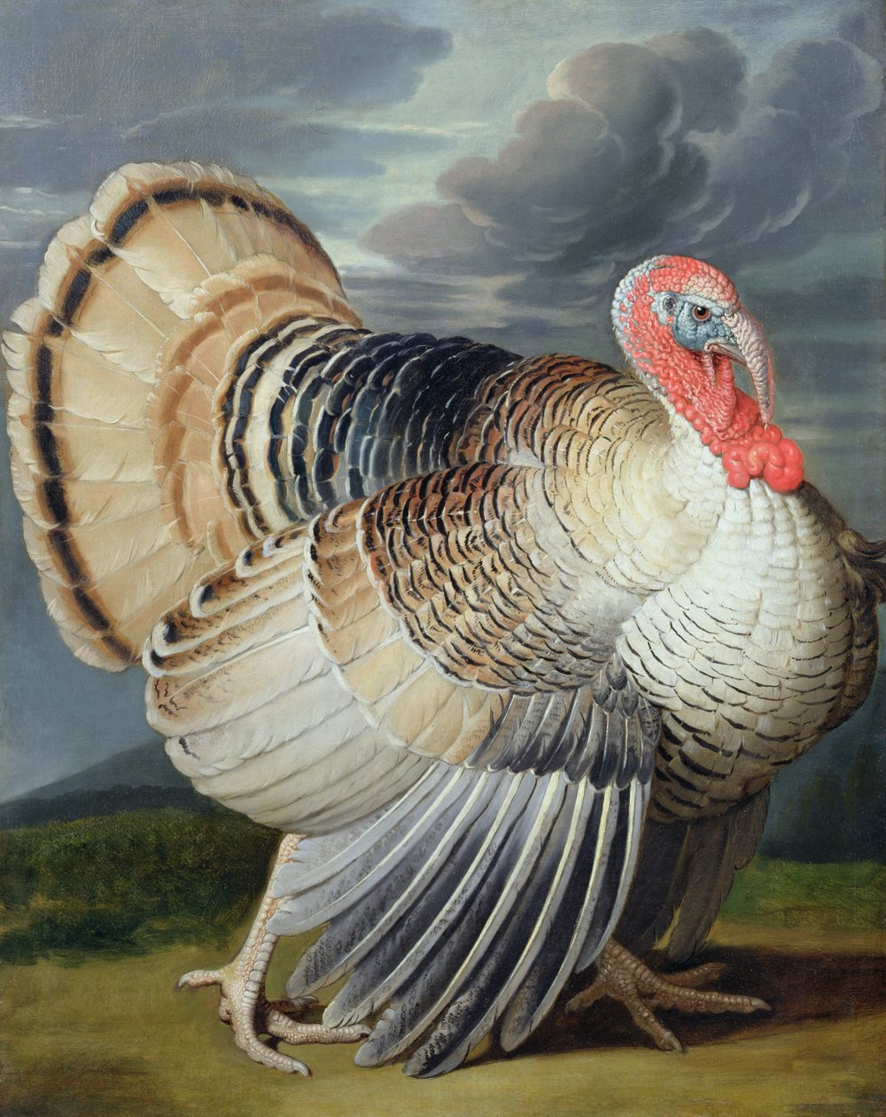 Portrett av et Tyrkia av Johann Wenceslaus Peter Wenzal