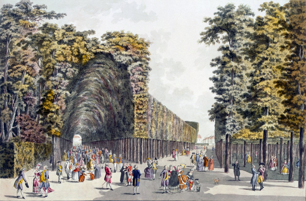 Limegrove Walk, Augarten, Wien, 1790-tallet av Johann Ziegler