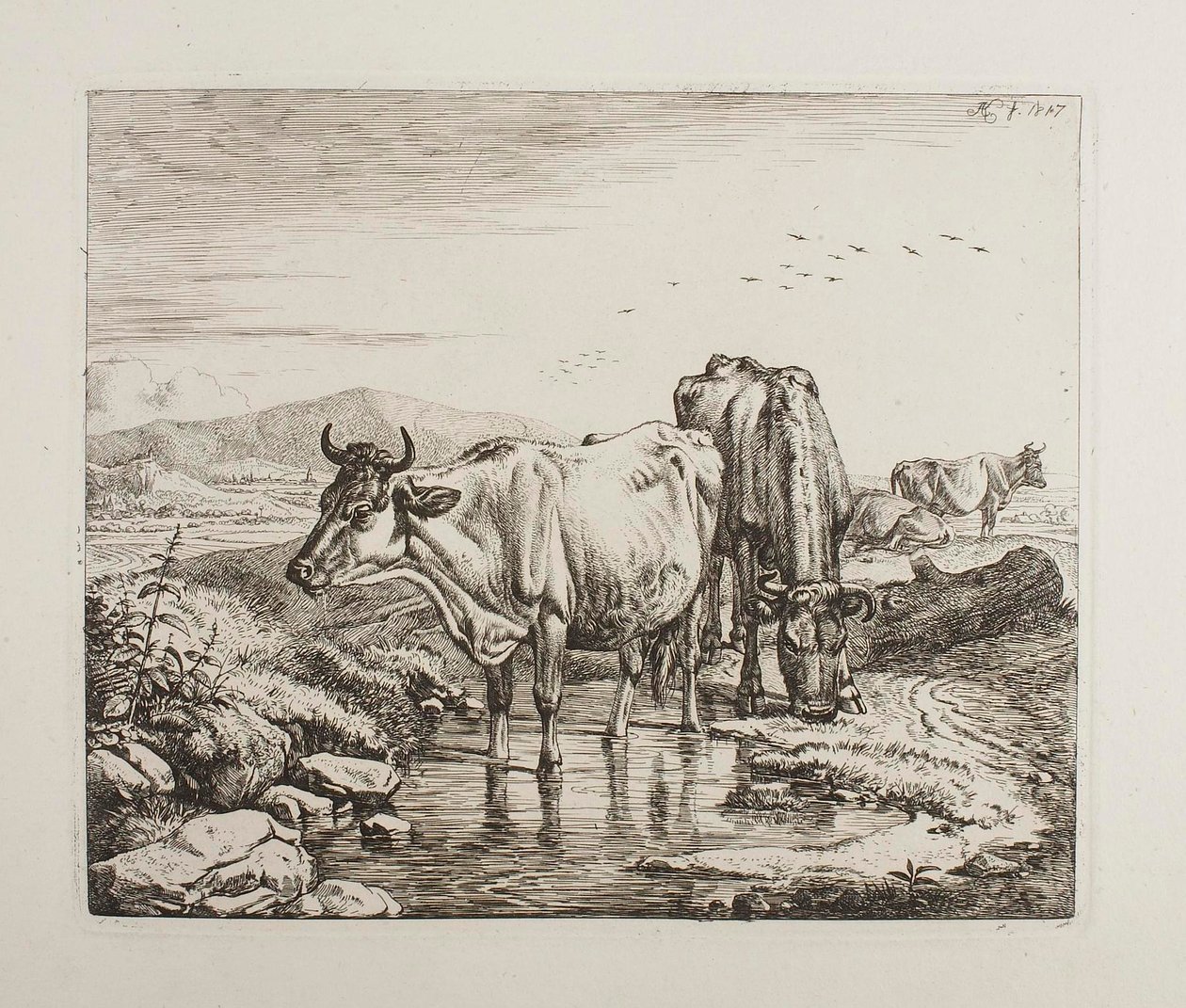 Kveg ved et vannhull av Johann Adam Klein