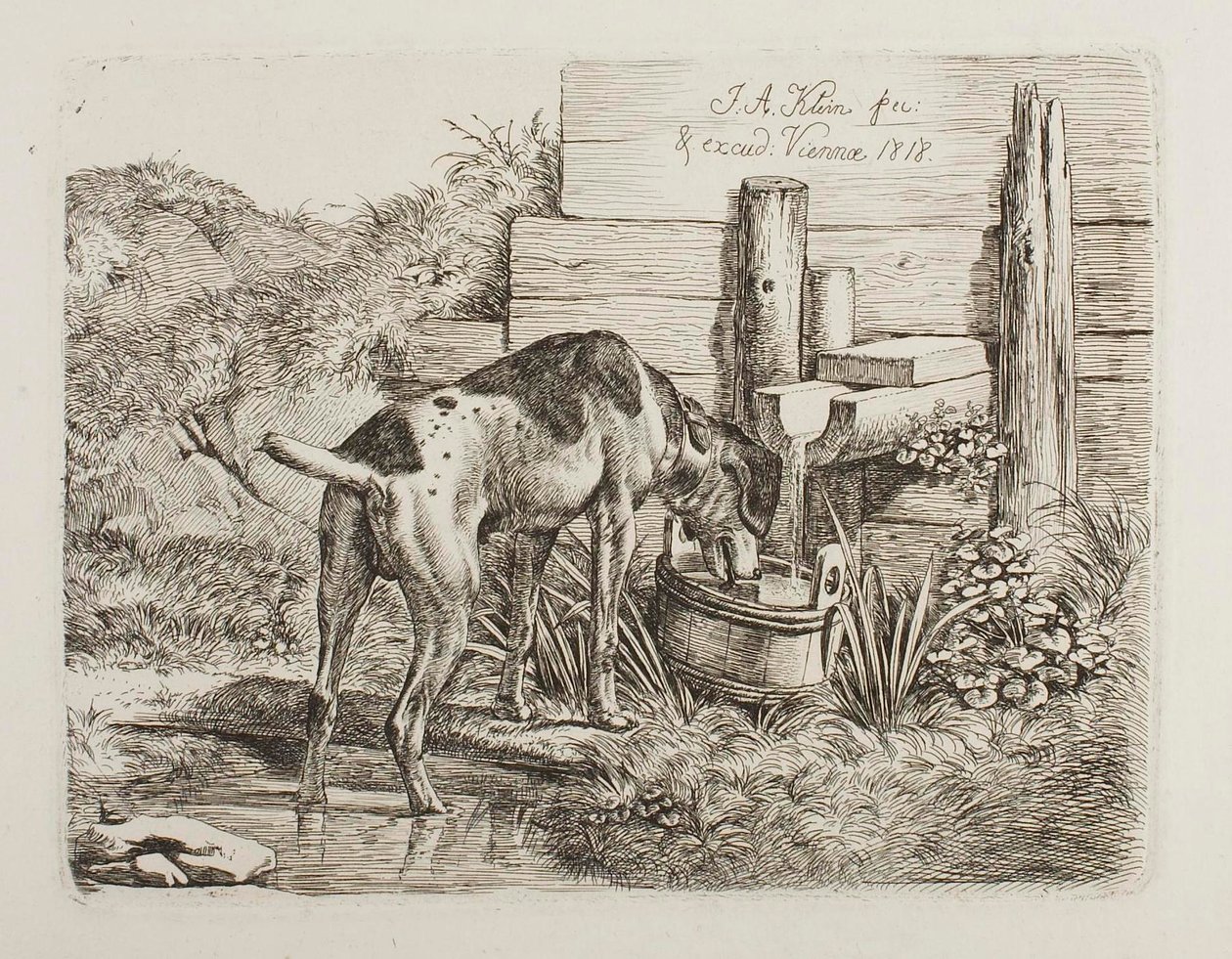 Hund som drikker vann av Johann Adam Klein