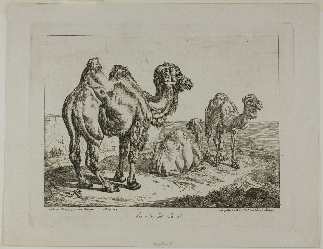  av Johann Adam Klein