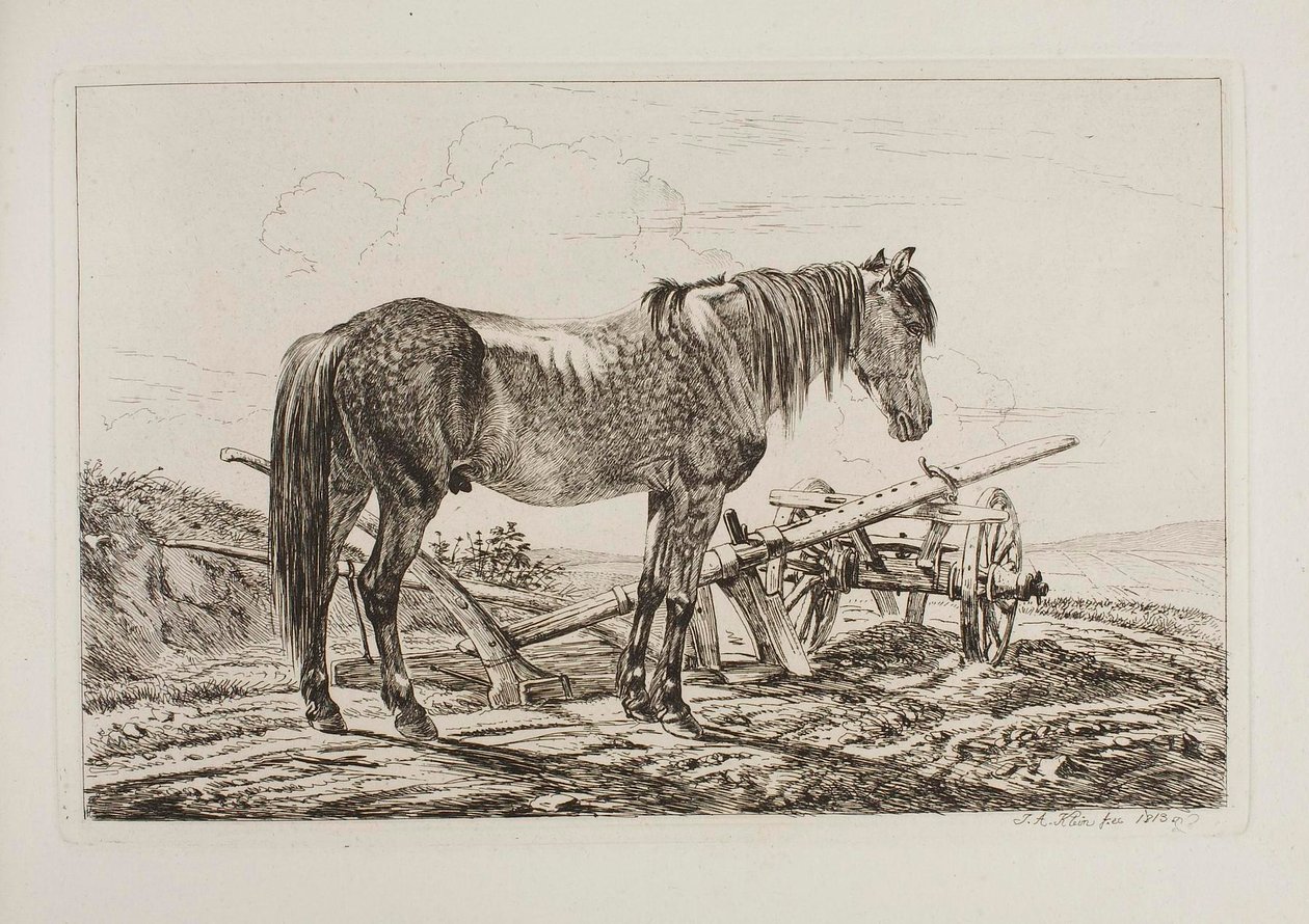 Hest ved en plog av Johann Adam Klein