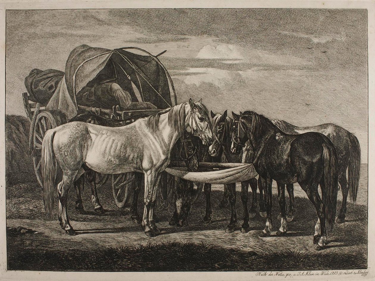Hester ved en ungarsk kjerre av Johann Adam Klein