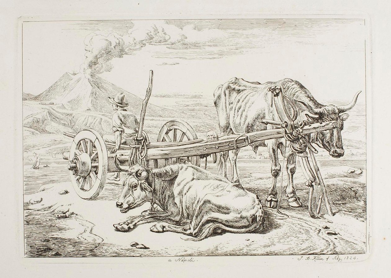 I Napoli (okser og en kjerre i Napoli) av Johann Adam Klein