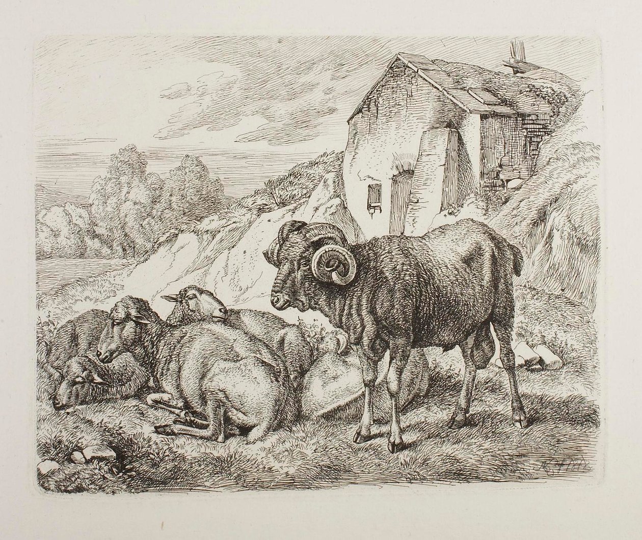 Vær og sau bak et hus av Johann Adam Klein
