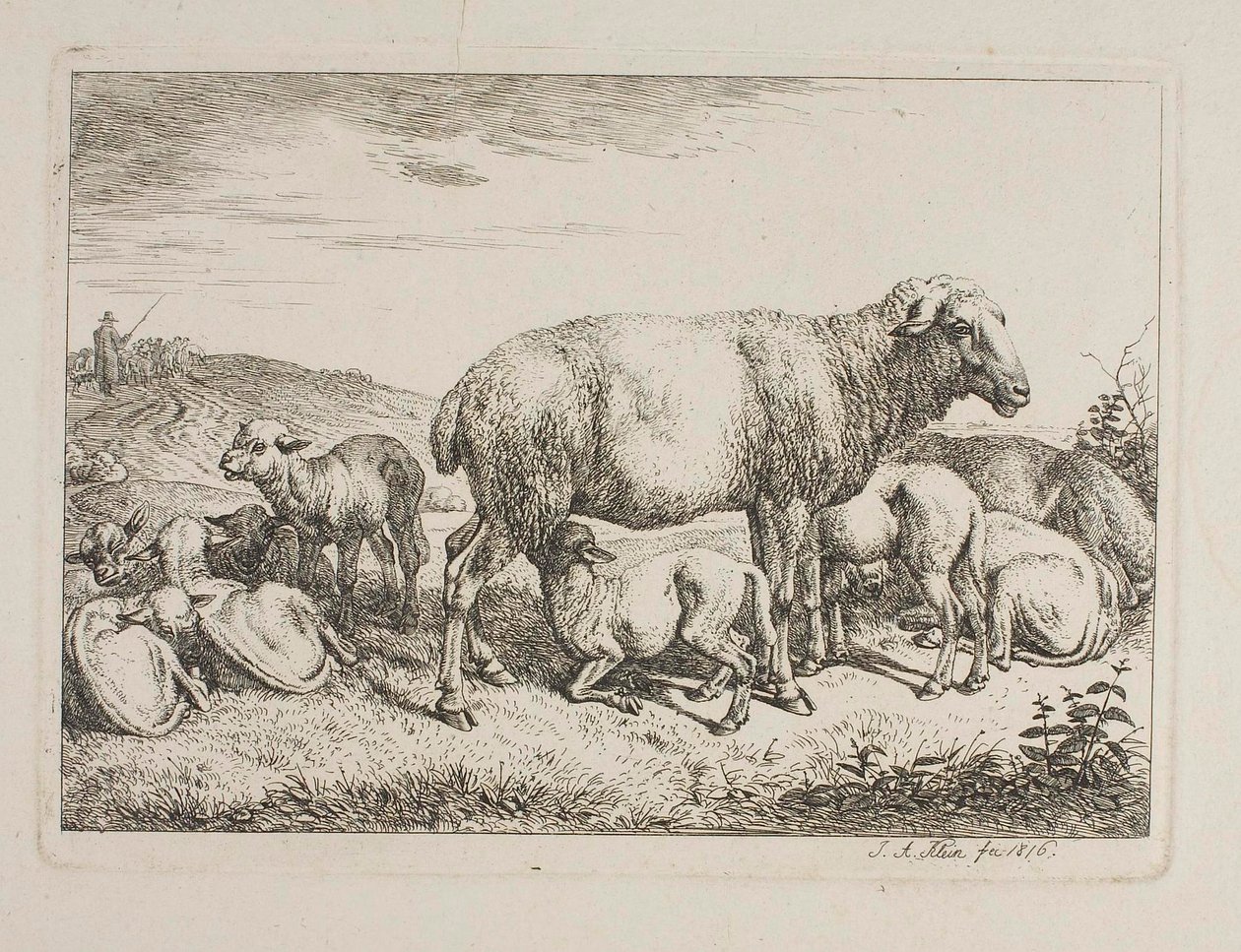 Sauer med lam av Johann Adam Klein