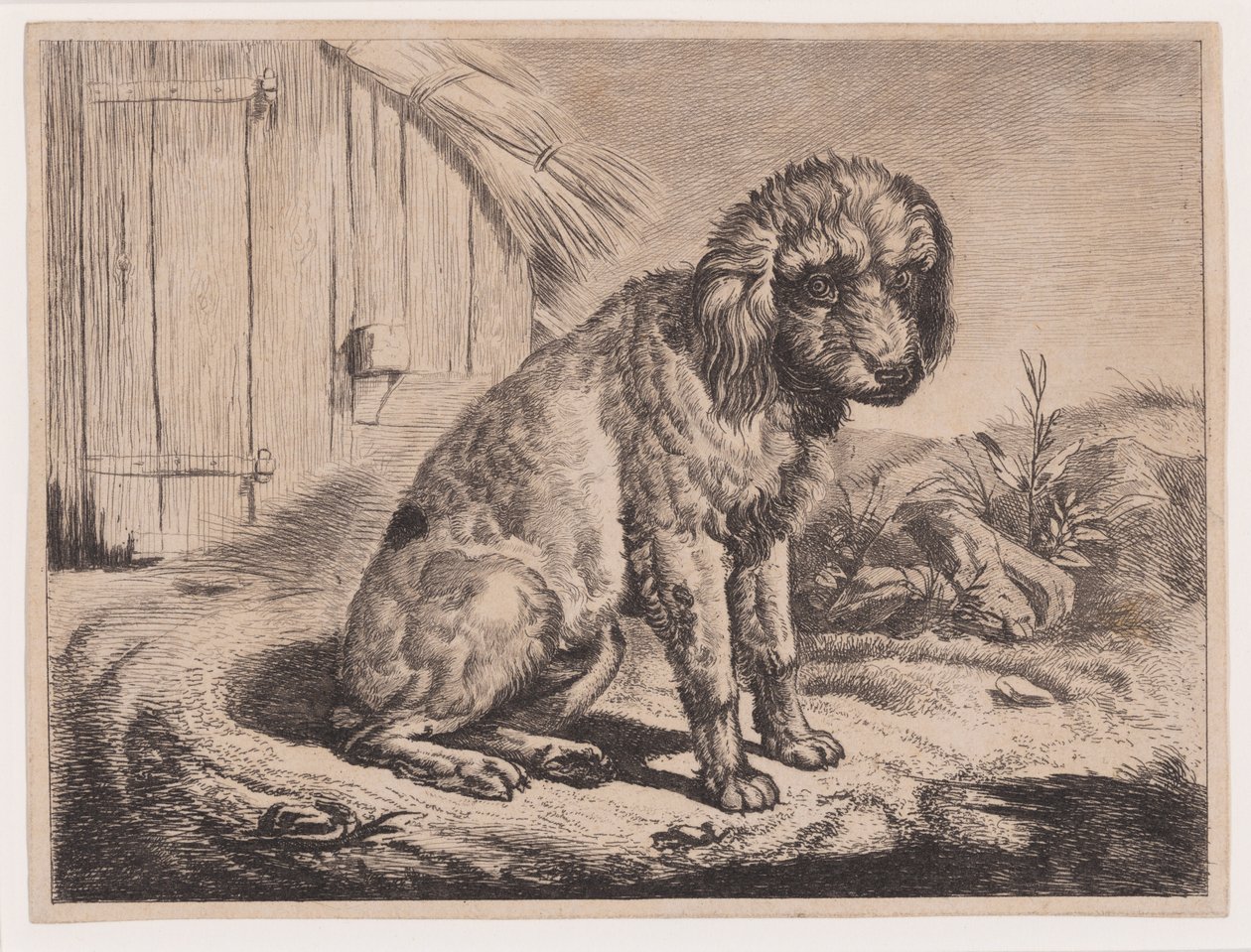 Sittende hund av Johann Adam Klein