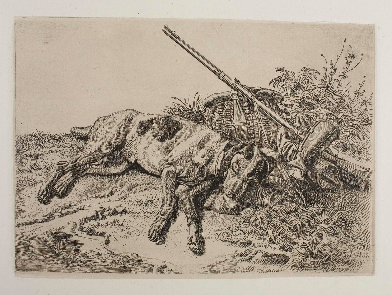 Sovende hund av Johann Adam Klein